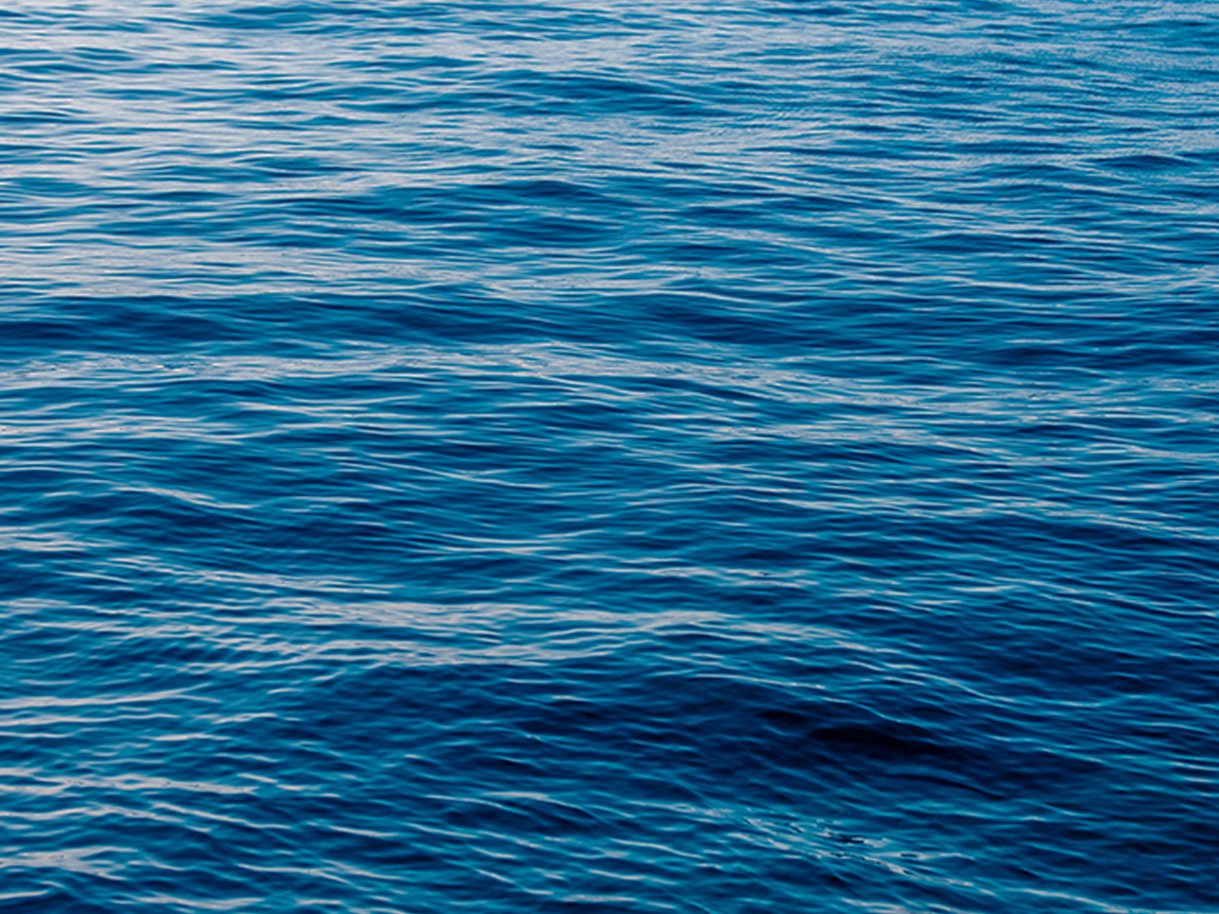 sea